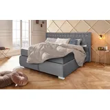 LEONIQUE Boxspringbett Rumba, Taschenfederkern-Matratze in Härtegrad 3, in 4 Breiten, incl. Topper grau 190 cm x 213 cm
