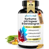 120 Kurkuma Ingwer Kapseln hochdosiert - Curcuma Extrakt Curcumin + Gerstengras Pulver & Piperin - 4 Monatsvorrat - ohne chemische entzündungshemmende Tabletten - Kurkuma Kapseln hochdosiert