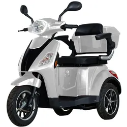 Stormborn R3 Elektro-Dreiradroller 25 km/h verschiedene Farben
