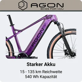 Agon Alpha 27,5 Zoll RH 48 cm Sunrise Black Metallic