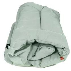 Fiam - Fat Auflage für Sessel Fiesta, salbei