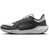 Nike Pegasus 41 GORE-TEX Herren - schwarz
