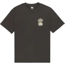 QUIKSILVER Herren T-Shirt braun Baumwolle Comfort Fit, braun, Frühjahr/Sommer 2026 tarmac - M