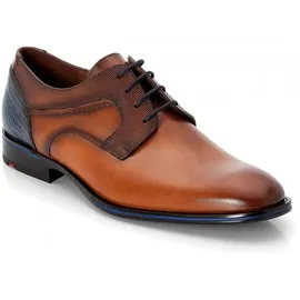 LLOYD Gilbert Braun 40,5