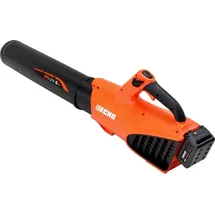 Echo DPB-310 Akku Blasgerät 40V Garden+