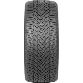 ARIVO Winmaster ProX ARW 3 195/65 R15 95T XL