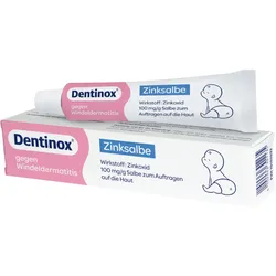 Dentinox Zinksalbe gegen Windeldermatitis 45 g Salbe