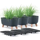 EDANTI Blumentopf Set x3 Pflanztöpfe Kunststoff mit Füßen Pflanzkübel mit Pflanzeinsatz Gracia CASE 39 cm Pflanzkübel Blumenkübel Pflanzentopf (Anthrazit)