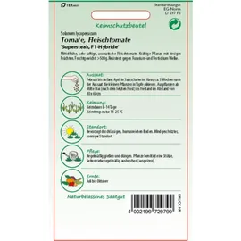 Samen Pfann Tomate Supersteak F1-Hybride | Fleischtomatensamen von Samen Pfann