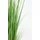I.GE.A. Kunstpflanze I.GE.A. "Grasbund", grün, B:9cm H:70cm L:9cm, Kunststoff, Kunstpflanzen, Kunstpflanze