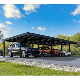 CANOPIA Carport Oslo 5,96 x 12 m schwarz