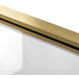 REA Duschtür Rapid Swing Brush Gold