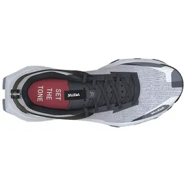 Salewa Herren Pedroc 2 Schuhe (Größe 47, onyx-vapor blue)