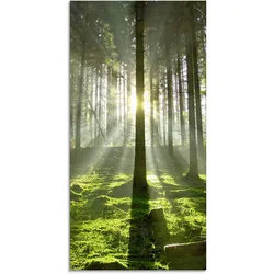 Artland Glasbild »Wald im Gegenlicht«, Wald, (1 St.), in verschiedenen Größen Artland Farbe Bild(er): grün