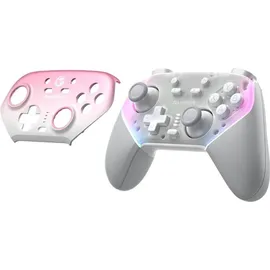 Deerma SuperNova T4n Pro Controller Rosa PC