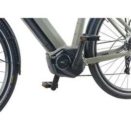 Prophete Entdecker 4.0 28 Zoll RH 50 cm Moosgrau-Schwarz Matt