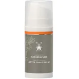 MÜHLE Sanddorn Lotion 100 ml