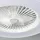 Philips Amigo Deckenventilator mit Beleuchtung 49 cm 20+42 W Weiß