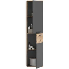MID.YOU Mason Hochschrank 37 x 152 x 24 cm Grau/Eiche Holz