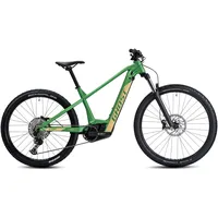 E-Bike GHOST "E-Teru B Advanced" E-Bikes Gr. 38 cm, 29 Zoll (73,66 cm), grün (beige, khaki, schwarz) E-Bikes Pedelec