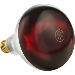 METRO Professional Infrarotbirne für Wärmelampe GWL1500R, Glas, 250 W, Lebensdauer: 5000 Std., bruchsicher, rot