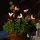 MARELIDA Lichterkette Kunststoff L: 1,2m H: 17cm 5 Gartenstecker orange/schwarz/transparent