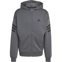 adidas Future Icons 3-Streifen Kapuzensweat Herren Grau XL
