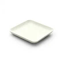 sier disposables Teller aus Zuckerrohr viereck 120 x 120 x 15 mm 40 St. Weiß
