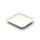 sier disposables Teller aus Zuckerrohr viereck 120 x 120 x 15 mm 40 St. Weiß