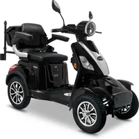 Rolektro E-Quad 25 V.3 1000 Watt 25 km/h schwarz