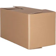 Paket.ag Faltkarton 1000 x 600 x 600 mm