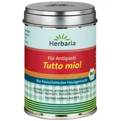Tutto Mio - Antipastigewürz BIO