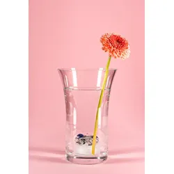 Vita Juwel Flora - Vase ⌀ 15cm / 23,5cm hoch