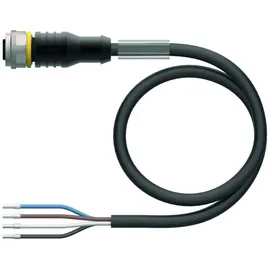Turck Aktuator- u. Sensorleitung RKC4.4T-10/TEL