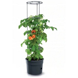 Prosperplast Pflanzkübel IPOM400-S433, Topf für Tomatenpflanze 28L Tomatenzüchter schwarz