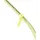 Marmot Limestone 4p Zelt - Kiwi - 4 Platz