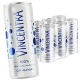 Vincentka  6 X 250 ml  natürliches Heilwasser aus Tschechien Wasser Water Jod