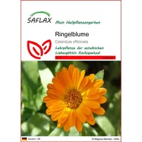 SAFLAX - Heilpflanzen - Ringelblume - 50 Samen -