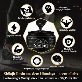 SAPURA Shilajit Harz Paste 60 g