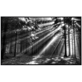 Papermoon Infrarotheizung Waldlichtung«, Matt-Effekt - bunt