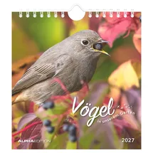 ALPHA EDITION GmbH & Co. KG Vögel in unserem Garten 2027: Postkartenkalender 16x17 cm mit 12 Vogelmotiven, Tisch- und Wandkalender, 12 Postkarten zum Heraustrennen