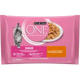 Purina One Junior Kitten Food mit Huhn und Karotten 340 G (4 X 85 G)