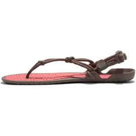 Xero Shoes Aqua Cloud Damen Morel/Sunset Coral 41,5