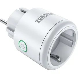 Zendure Satellite Plug,