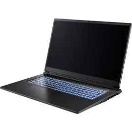 Captiva Advanced Gaming I94-355GE 17,3'' Intel Core i7-13620H 64 GB RAM 2 TB SSD RTX 5060 Win11 Home
