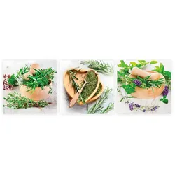 EUROART Glasbild 3tlg. Fresh Herbs Glas Grün
