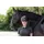 Covalliero Reithelm Elite Polo S 53-55 cm Schwarz