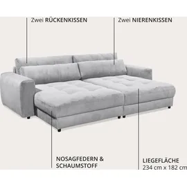 ed exciting design Big-Sofa BARURA Loveseat 292x194 cm Hellgrau,
