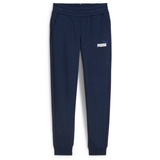 Puma ESS+ 2 Col Logo Pants FL CL B blau