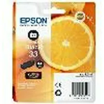 Epson 33 photo schwarz